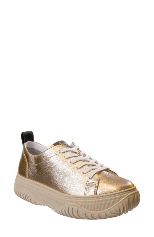 Pangea Low Top Sneaker in Gold