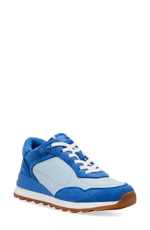 Runner Sneaker in Blue Multi