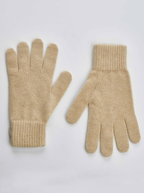 Gobi Cashmere Gloves In Beige