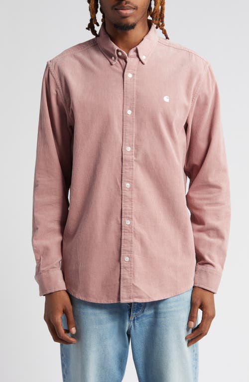 Carhartt Work In Progress Madison Cotton Corduroy Button-down Shirt In Pink