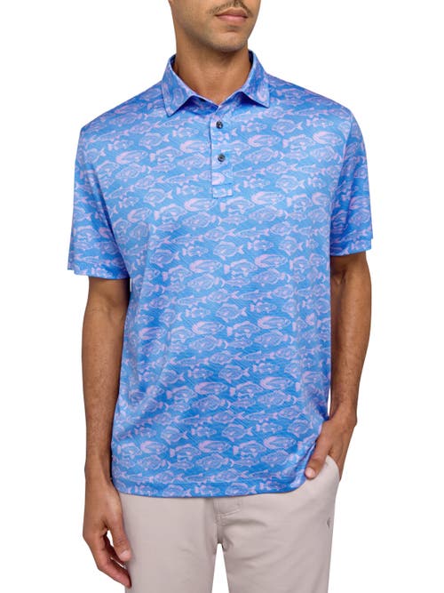 Shop Construct Con.struct Fish Print Performance Golf Polo In Pink