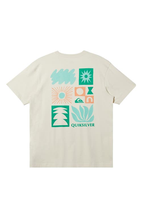 Shop Quiksilver Natural Forms Organic Cotton Graphic T-shirt In Silver Birch