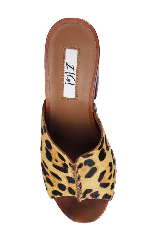Zigi Yama Platform Slide Sandal In Leopard Calf Hair