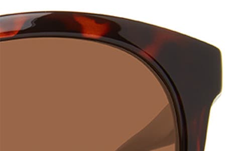 Shop Eddie Bauer 54mm Round Polarized Sunglasses In Tortoise/brown