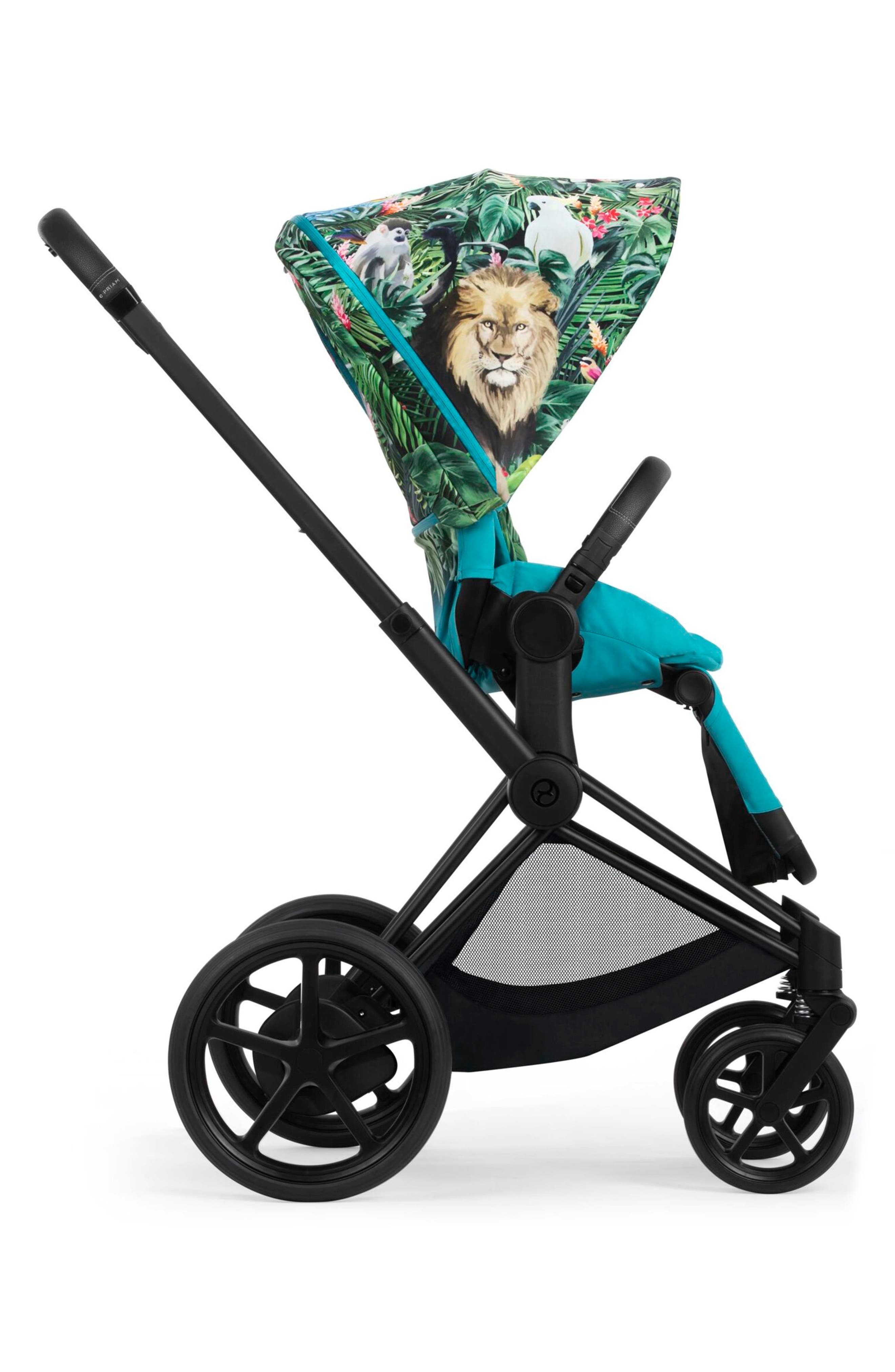 we the best stroller dj khaled