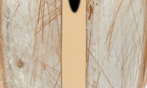 Shop By Pariah Rutilated Quartz Drop Hoop Earrings In Gold