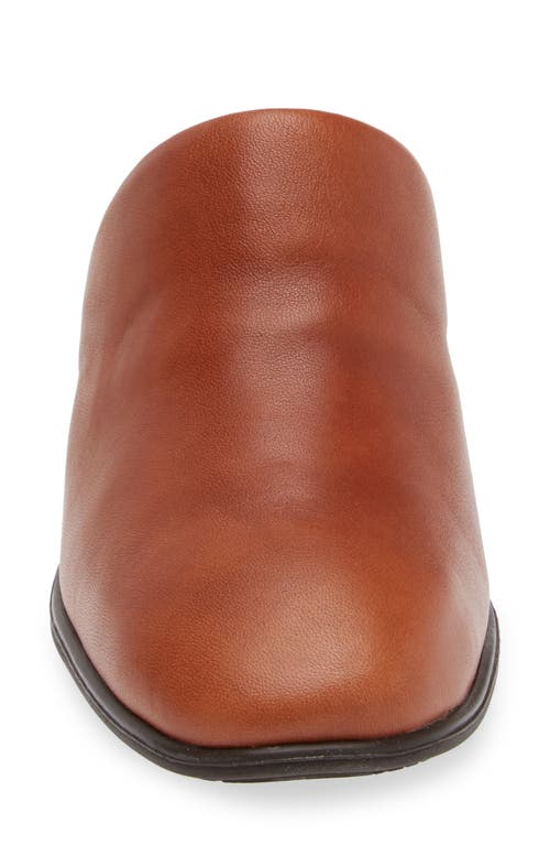 Naot Dedicate Mule In Brown Peanut Leather
