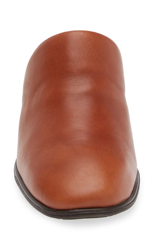 Shop Naot Dedicate Mule In Brown Peanut Leather