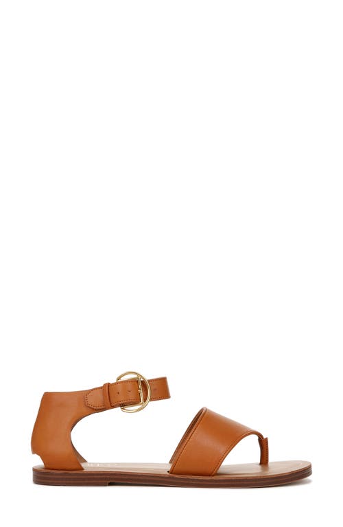 Shop Franco Sarto Ruth Ankle Strap Sandal In Tan