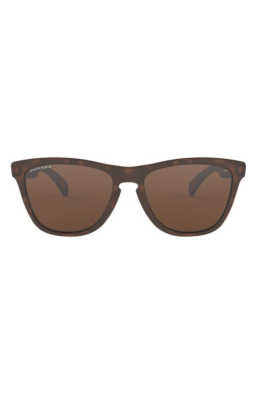 Oakley Frogskins 55mm Square Sunglasses in Brown Tortoise/Brown at Nordstrom