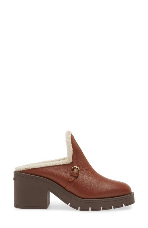 Shop Ferragamo Saura Genuine Shearling Lined Mule In Cappuccino Naturale Biscotto