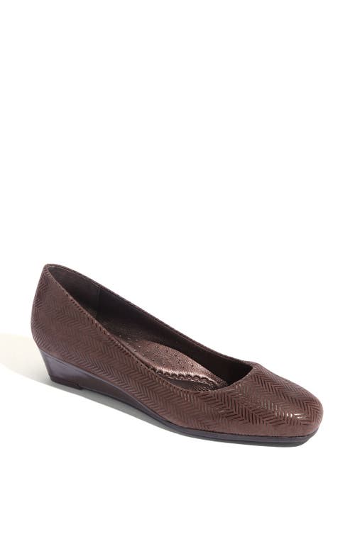 Trotters 'Lauren' Pump in Dark Brown at Nordstrom, Size 9.5