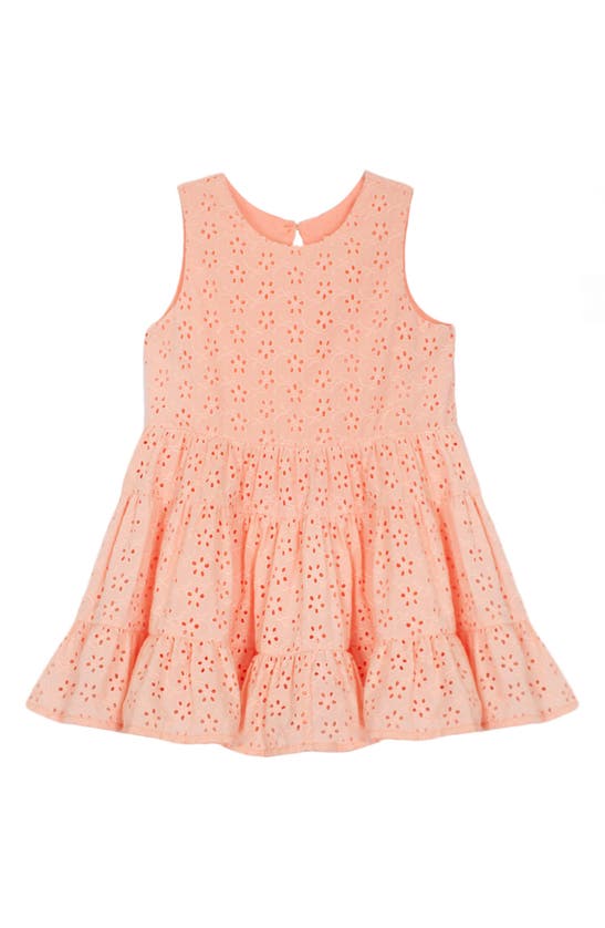 Shop Mabel + Honey Kids' Amara Eyelet Embroidered Dress In Pink