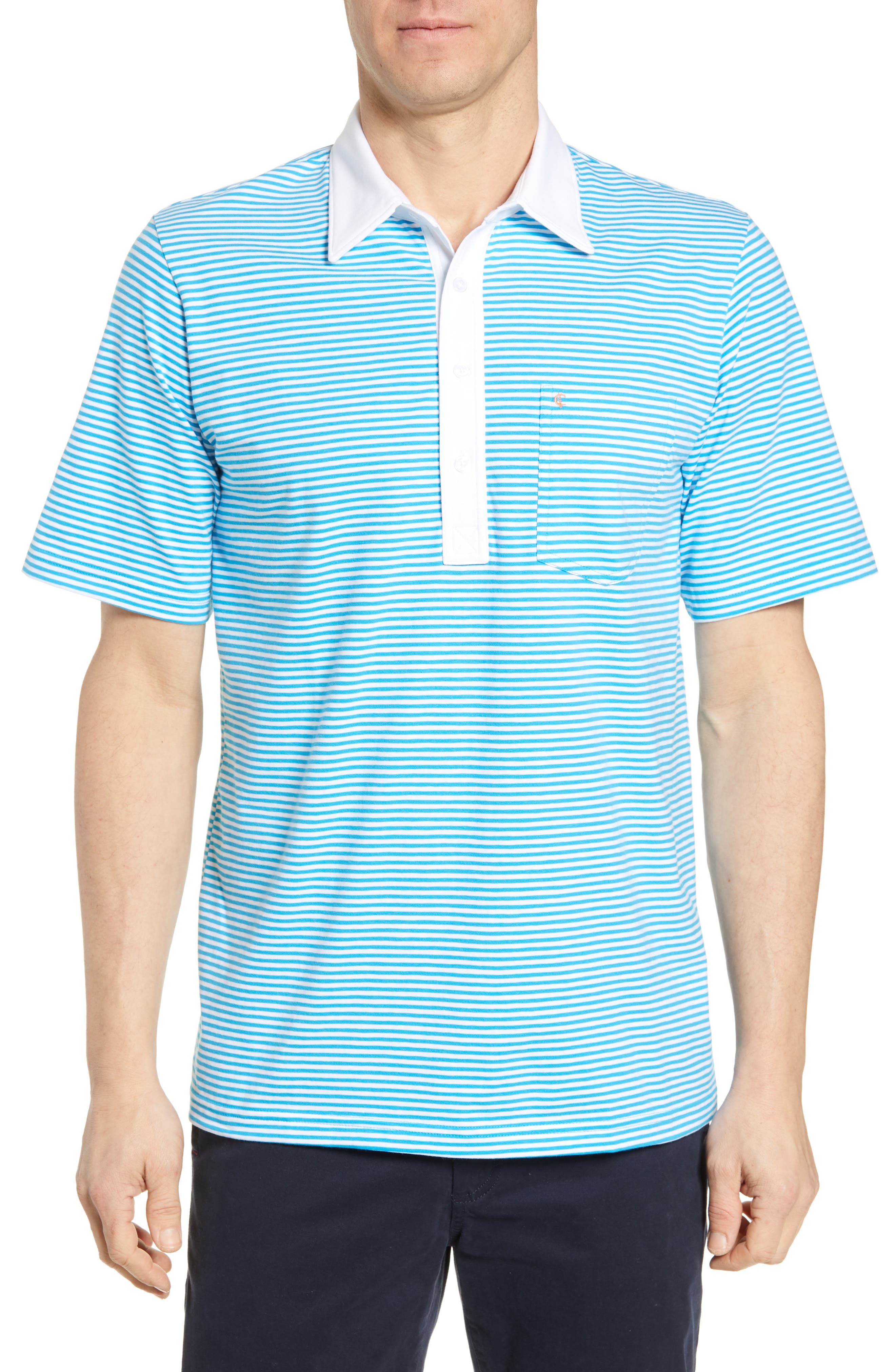 Criquet Regular Fit Players Stripe Stretch Jersey Polo, Blue