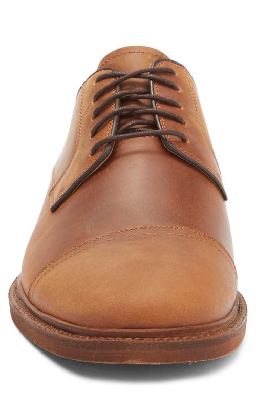 Warfield & Grand Weston Derby In Cognac