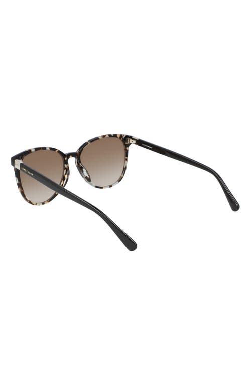 Shop Longchamp Le Pliage 53mm Gradient Cat Eye Sunglasses In Havana Aqua/brown