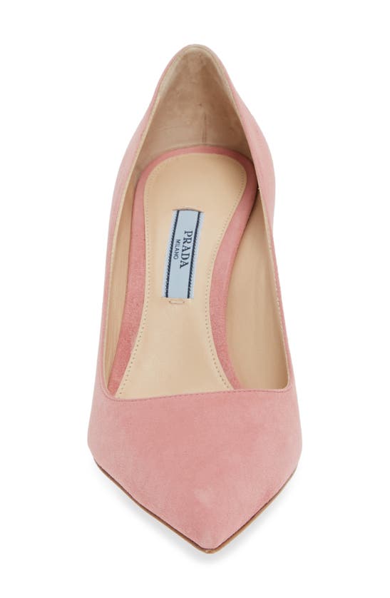 Prada Pointed-toe 100 Pumps In Pink Suede