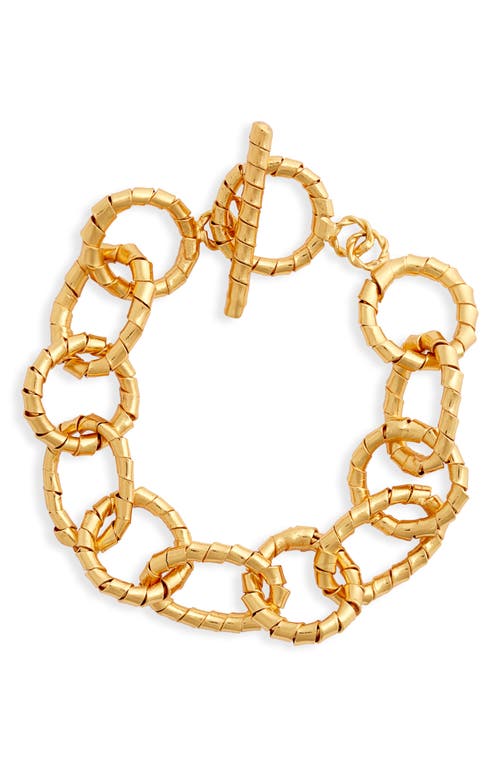 Brazalete Calysta Chain Bracelet in Gold