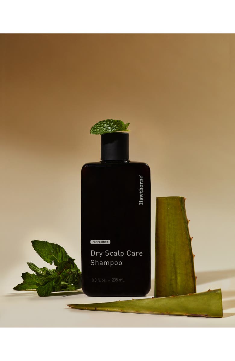 Hawthorne Dry Scalp Care Shampoo, Alternate, color, 