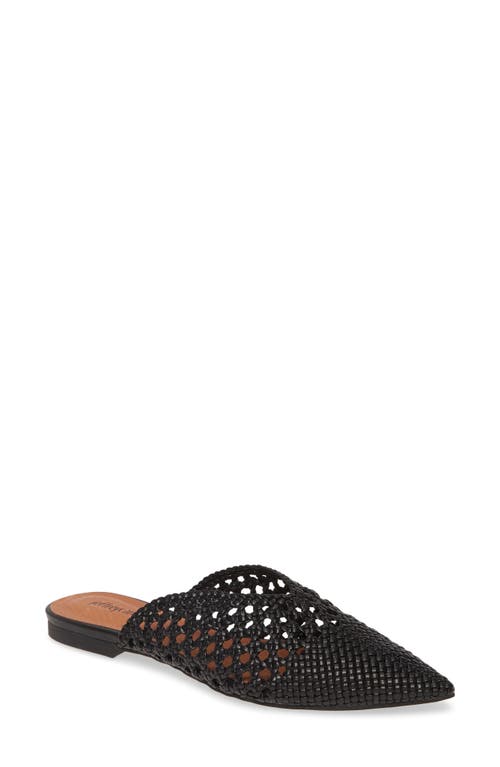Leno Woven Pointed Toe Mule in Black