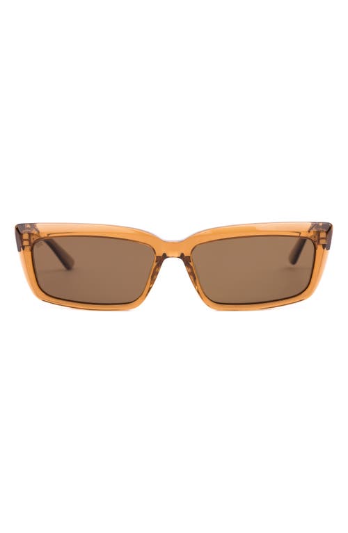 Shop Sito Shades Night In Tobacco/brown Polar