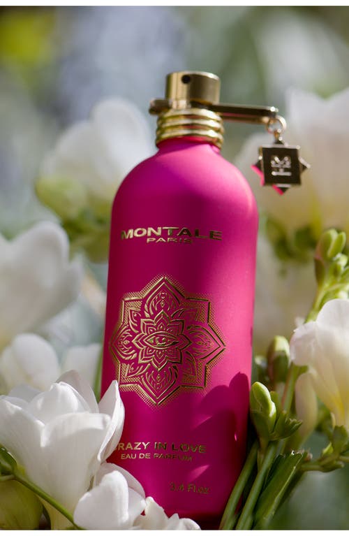 Shop Montale Paris Crazy In No Color