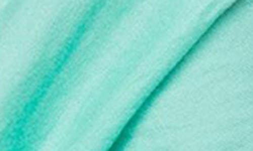 Saachi Cashmere Silk Eyelash Fringe Scarf In Mint