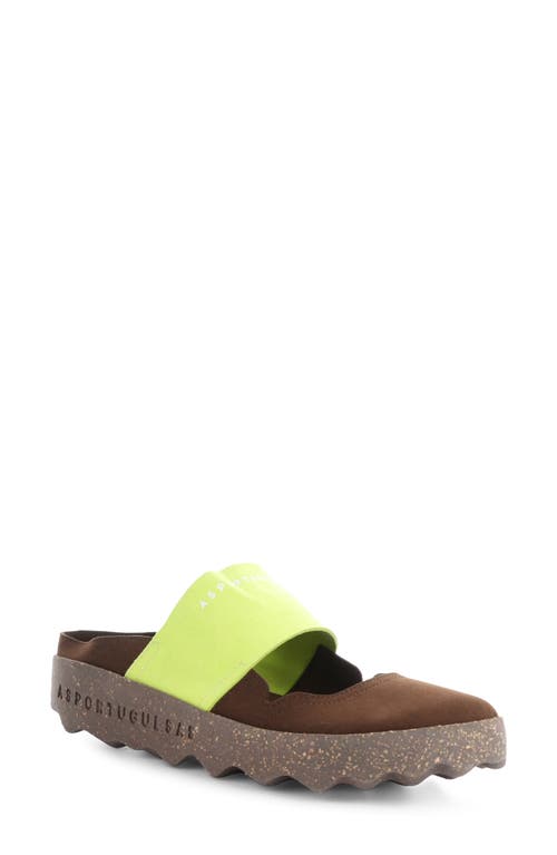 Cana Slide Sandal in 000 Brown On Micro S