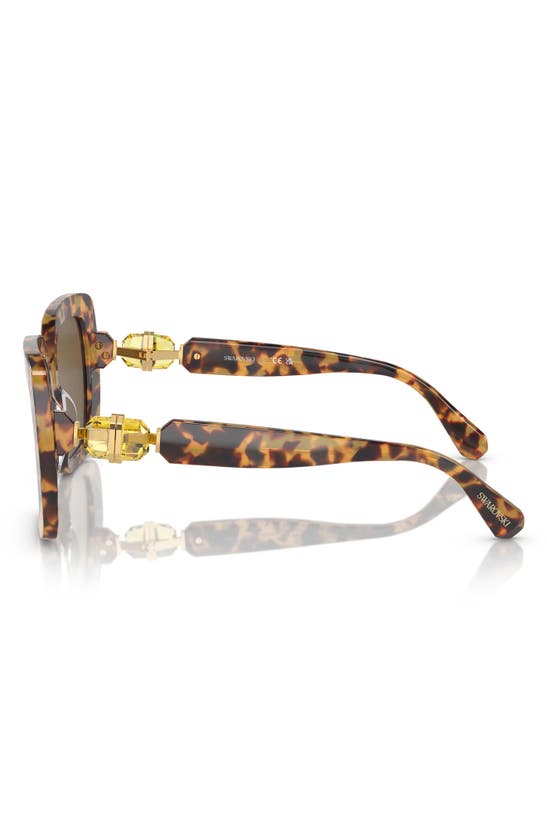 Swarovski 55mm Square Sunglasses In Lite Havana