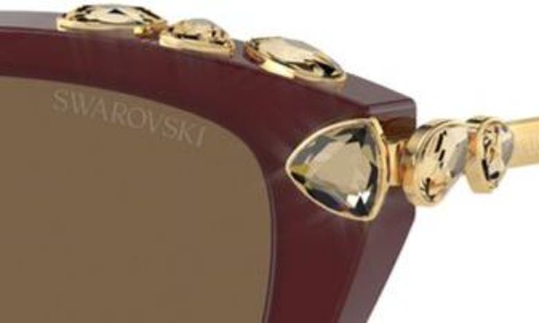 Shop Swarovski 53mm Cat Eye Sunglasses In Dark Brown