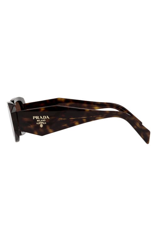 Prada Runway 49mm Rectangular Sunglasses In Tortoise/brown