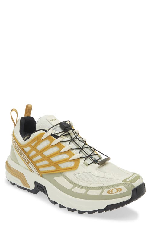 Shop Salomon Acs Pro Gore-tex® Waterproof Sneaker In Icicle/antelope/tea