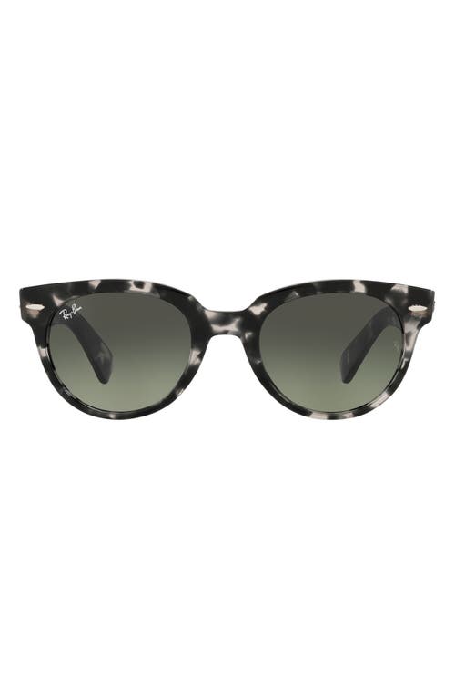 Ray-Ban 52mm Gradient Round Sunglasses in Gray Havana/Grey Dark Grey at Nordstrom