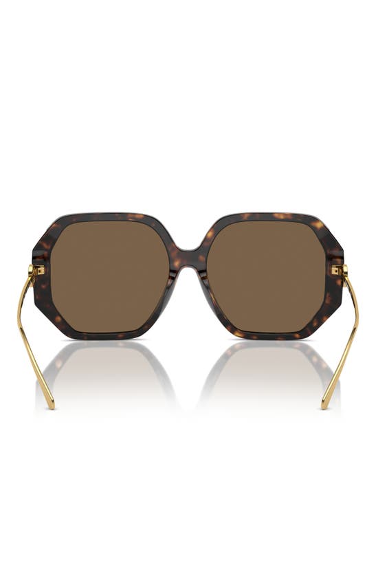 Tory Burch 57mm Irregular Sunglasses In Tortoise