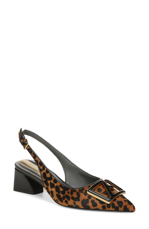 Franco Sarto Racer Slingback Pointed Toe Pump Whiskey at Nordstrom,