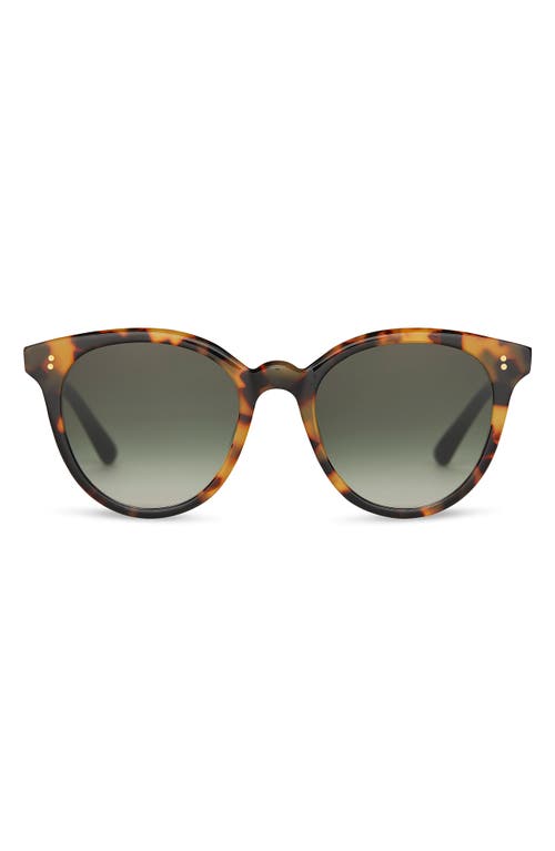 TOMS Aaryn 50mm Round Sunglasses in Blonde Tortoise/Olive