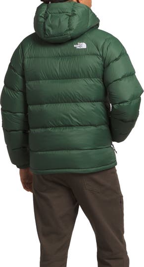 Hyalite 550 fill 2024 power down jacket