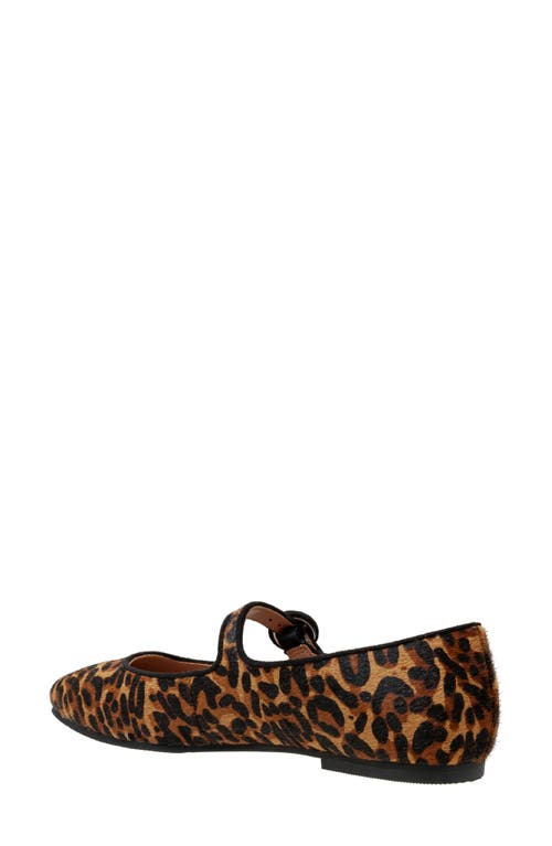 Linea Paolo Marley Leopard Print Genuine Calf Hair Flat In Cognac/ Black