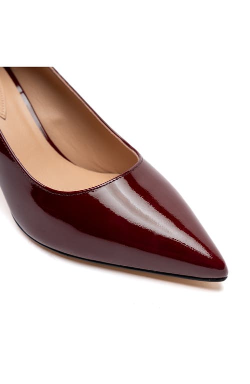 Shop Bruno Magli Tara Pointed Toe Pump In Bordeaux Patent