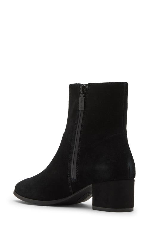 Shop Blondo Arena Pointed Toe Bootie In Black Suede