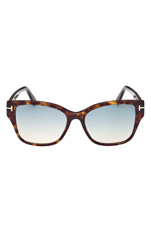 Shop Tom Ford Elsa 55mm Butterfly Sunglasses In Dark Havana/turquoise Sand