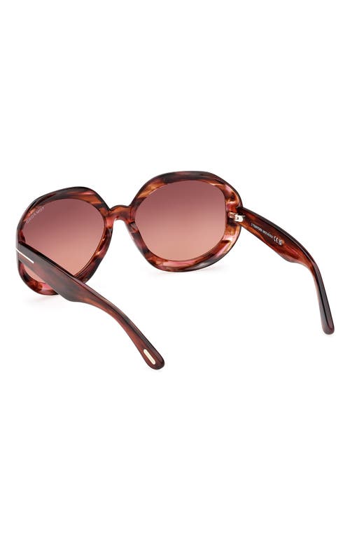 Tom Ford Georgia-02 62mm Gradient Oversize Round Sunglasses In Coloured Havana/brown