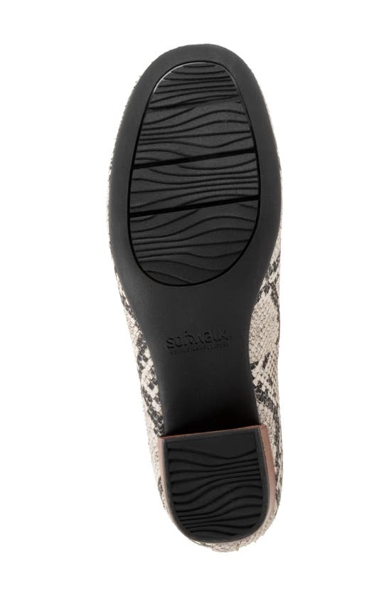 Shop Softwalk ® Lynn Pump In Black White Snake