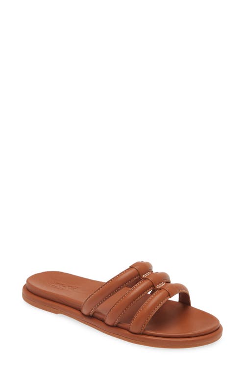 Olukai Tiare Slide Sandal In Brown