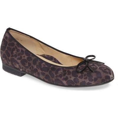 Ara Susie Flat, Grey