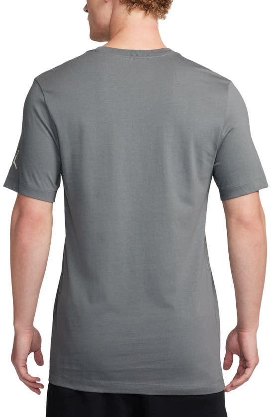 Shop Jordan Pointillism Jumpman Graphic T-shirt In Smoke Grey