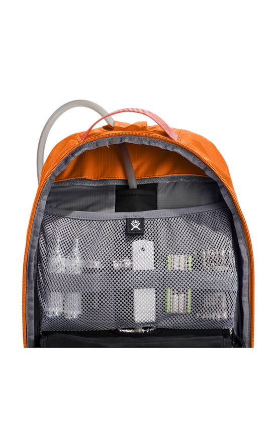 Hydro Flask Down Shift Hydration Pack In Bronze