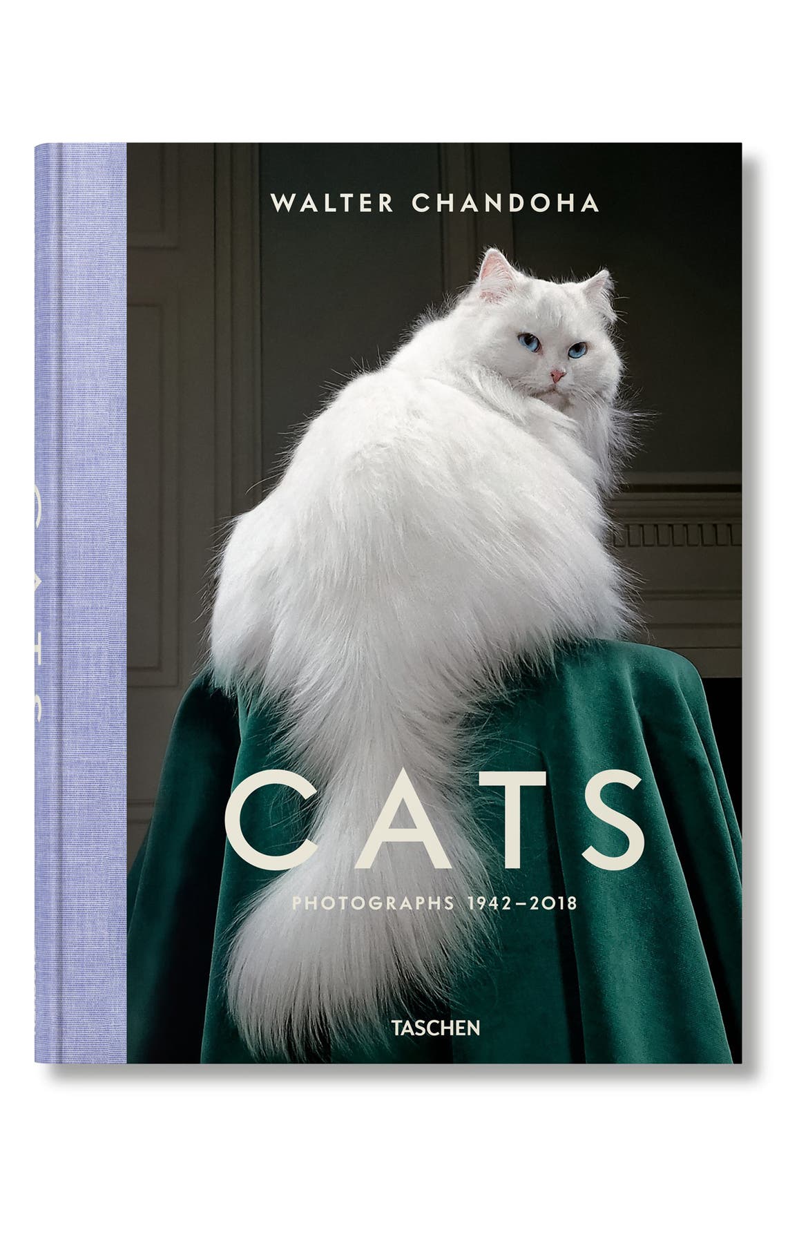 TASCHEN BOOKS 'Walter Chandoha Cats: Photographs 1942-2018' Book, Main, color, GREY