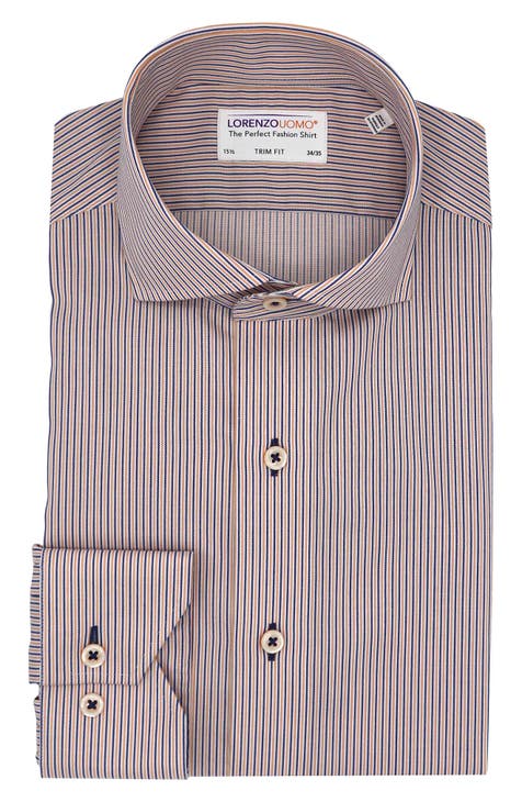 Trim Fit Stripe Cotton Dress Shirt (Regular & Big)