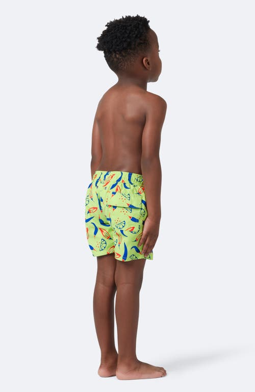 Shop Tom & Teddy Kids' Chill Swim Trunks In Lime/blue